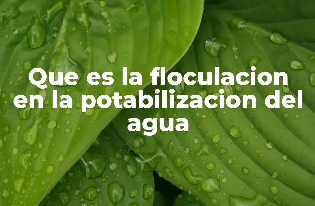 Que es la Floculacion en la Potabilizacion Del Agua