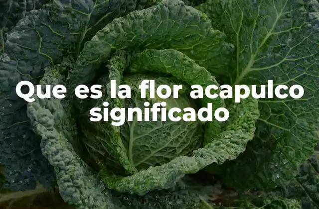 Que es la Flor Acapulco Significado