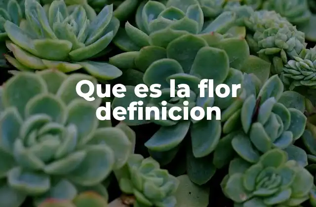 La importancia biológica y ecológica de las flores