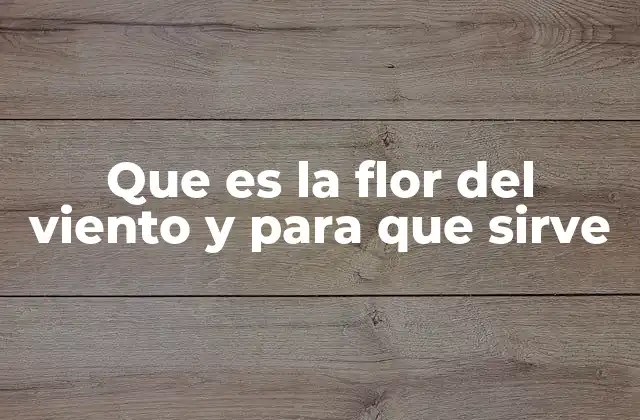 Las características distintivas de la flor del viento