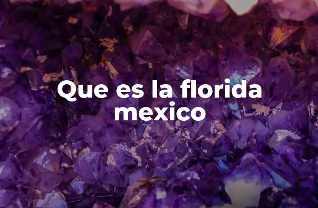 Que es la Florida Mexico