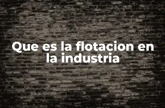 Que es la Flotacion en la Industria