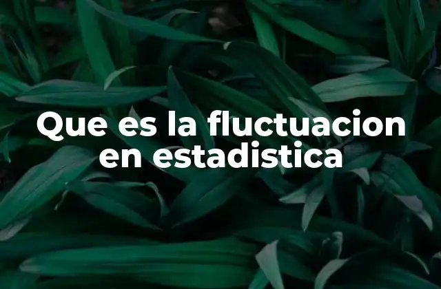 Que es la Fluctuacion en Estadistica