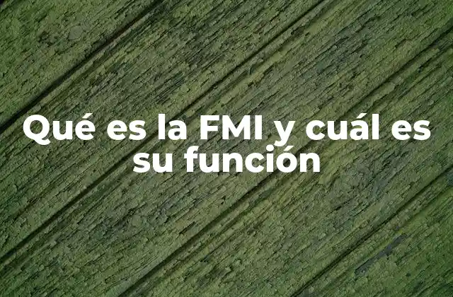 Qué es la Fmi y Cuál es Su Función