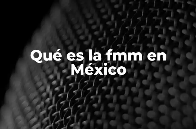 Qué es la Fmm en México