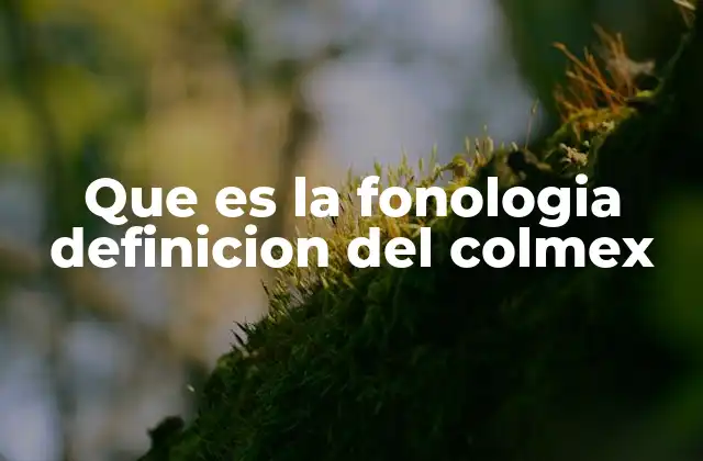 Que es la Fonologia Definicion Del Colmex
