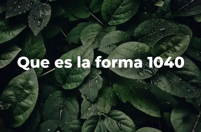 El proceso de llenar la forma 1040