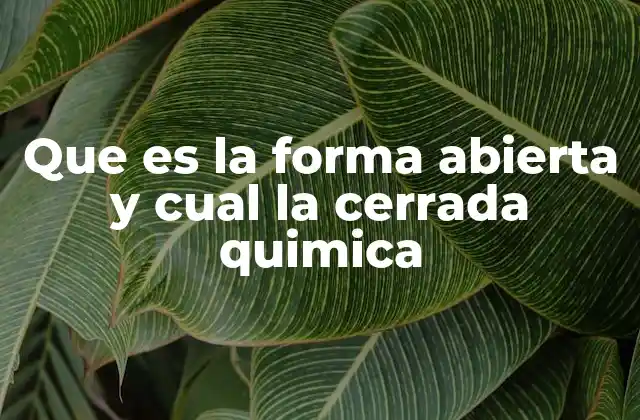 Que es la Forma Abierta y Cual la Cerrada Quimica