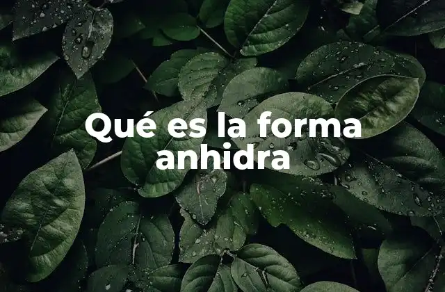 Qué es la Forma Anhidra 2 La importancia de la deshidratación en la obtención de compuestos anhidros