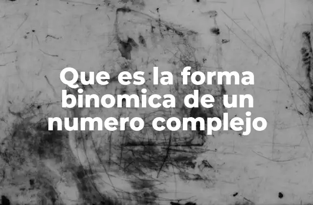 La representación algebraica de los números complejos