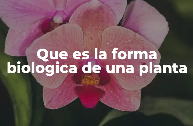 Que es la Forma Biologica de una Planta