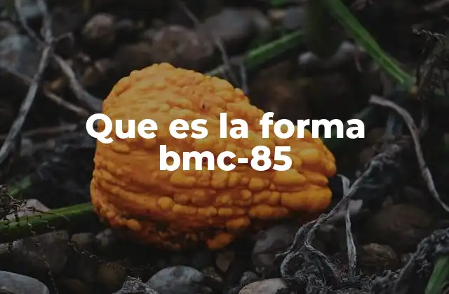 Que es la Forma Bmc-85
