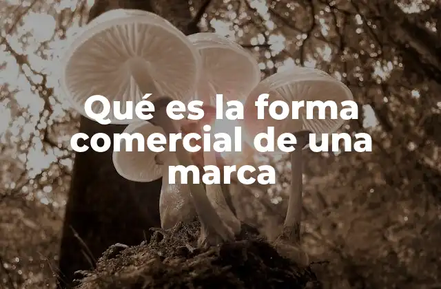 Qué es la Forma Comercial de una Marca
