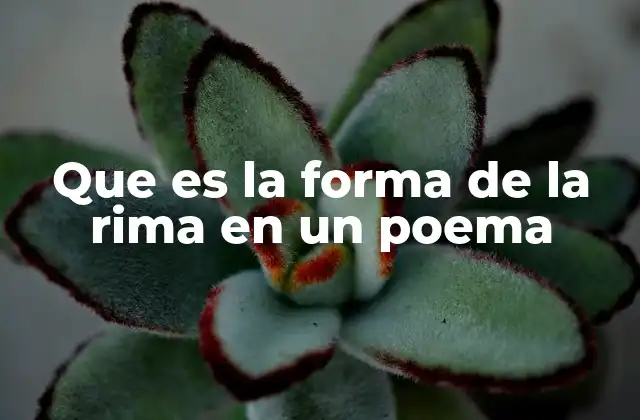 Que es la Forma de la Rima en un Poema
