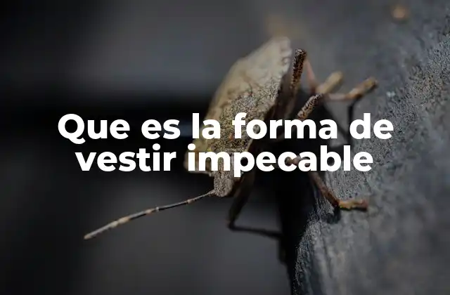 Que es la Forma de Vestir Impecable