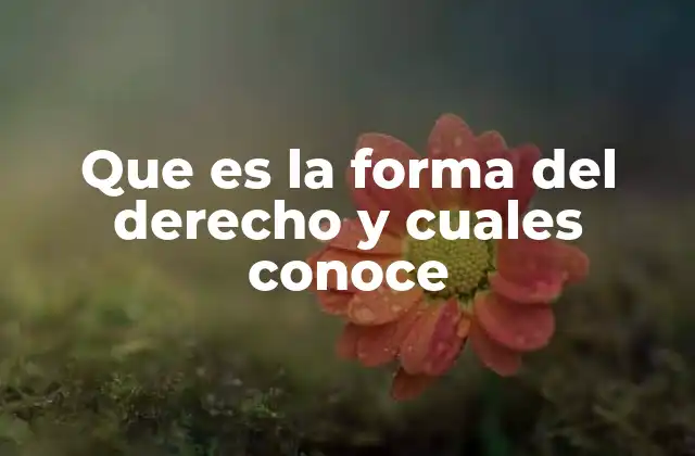 Que es la Forma Del Derecho y Cuales Conoce
