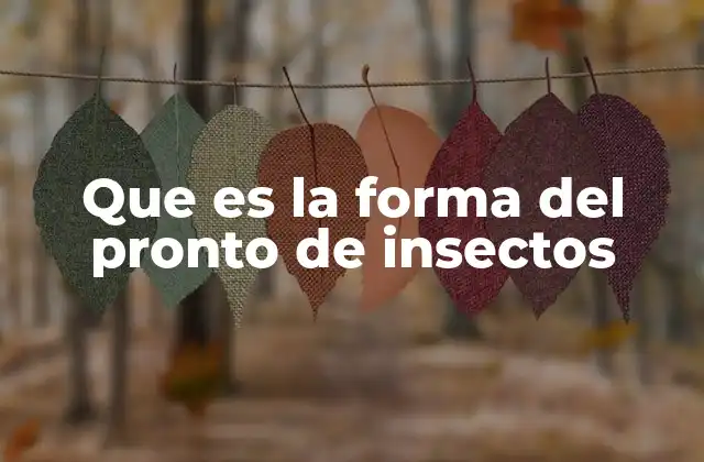 Que es la Forma Del Pronto de Insectos