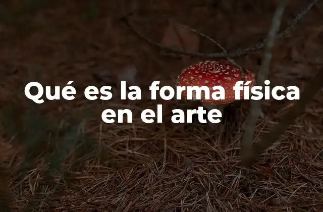 Qué es la Forma Física en el Arte