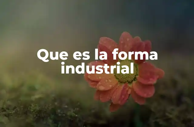 Que es la Forma Industrial