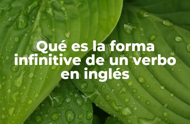 Qué es la Forma Infinitive de un Verbo en Inglés