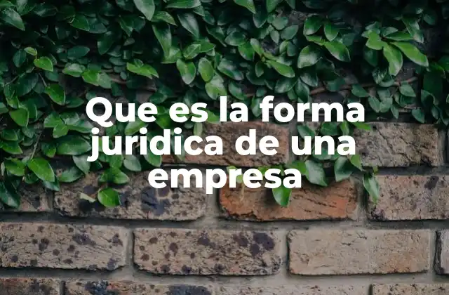 Que es la Forma Juridica de una Empresa