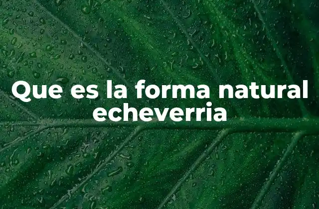 Que es la Forma Natural Echeverria