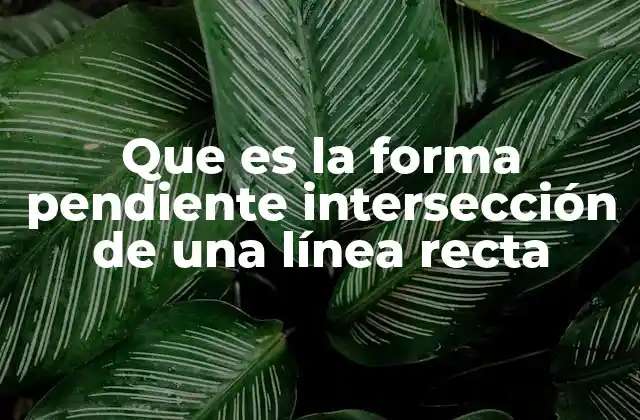 Cómo se interpreta la forma pendiente-intersección en el contexto de la geometría analítica