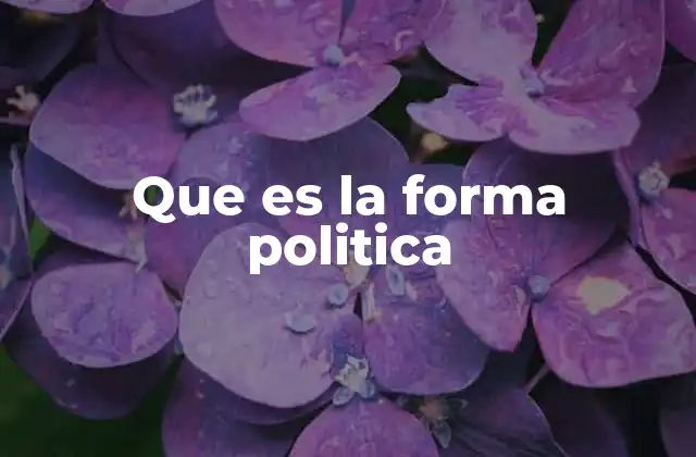 Que es la Forma Politica