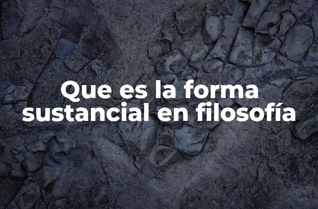 Que es la Forma Sustancial en Filosofía 2 La relación entre forma y materia