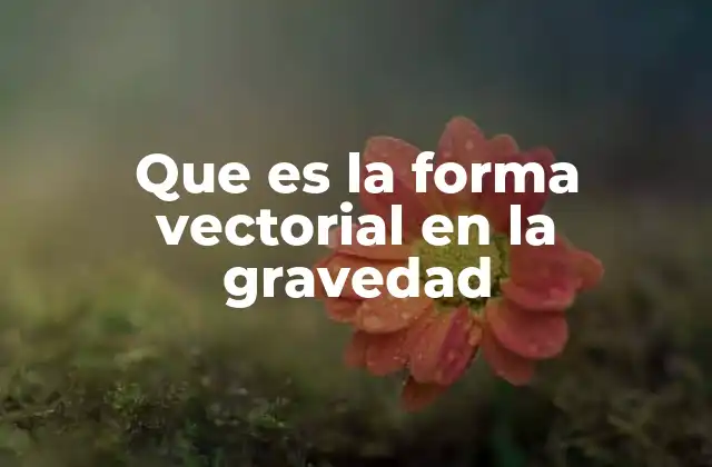 Que es la Forma Vectorial en la Gravedad