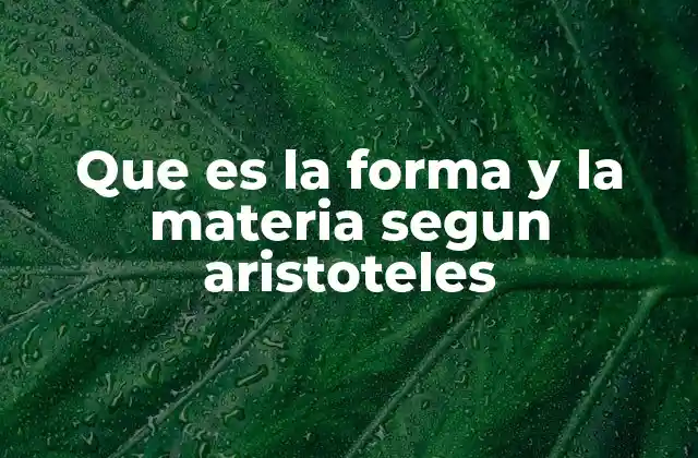 Que es la Forma y la Materia Segun Aristoteles