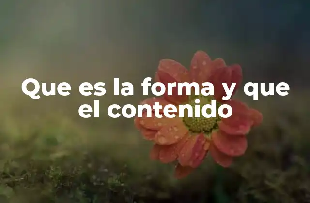 Que es la Forma y que el Contenido