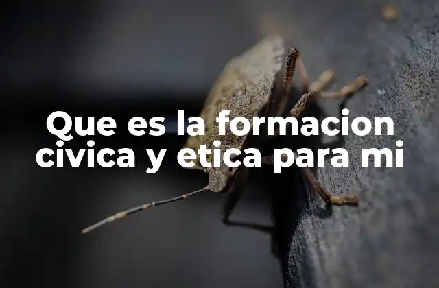 Que es la Formacion Civica y Etica para Mi