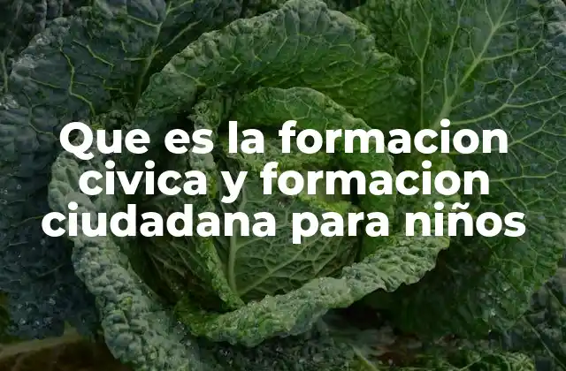 Que es la Formacion Civica y Formacion Ciudadana para Niños
