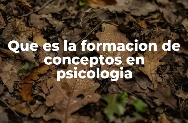 Que es la Formacion de Conceptos en Psicologia