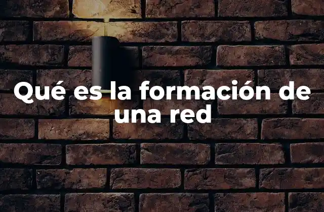 La importancia de las redes en la sociedad actual