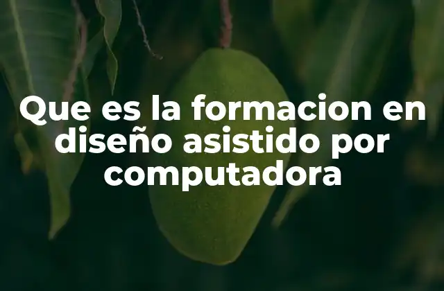 Que es la Formacion en Diseño Asistido por Computadora
