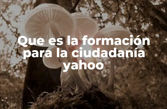 Que es la Formación para la Ciudadanía Yahoo