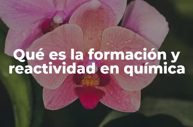 Qué es la Formación y Reactividad en Química