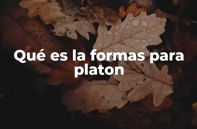 Qué es la Formas para Platon