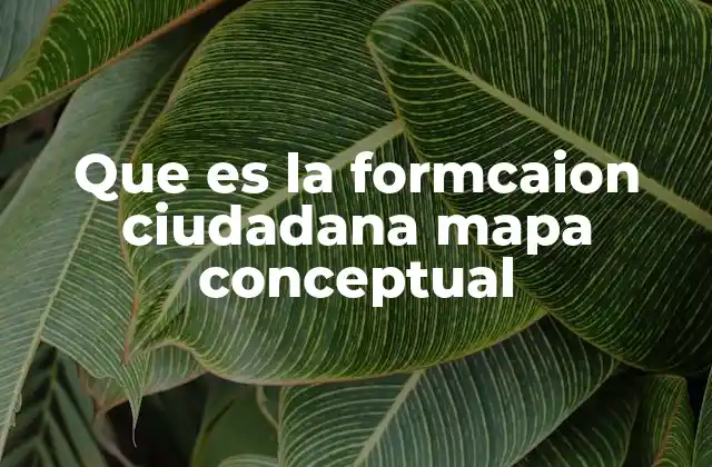 Que es la Formcaion Ciudadana Mapa Conceptual