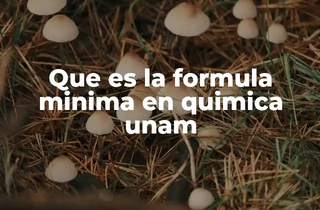 Que es la Formula Minima en Quimica Unam