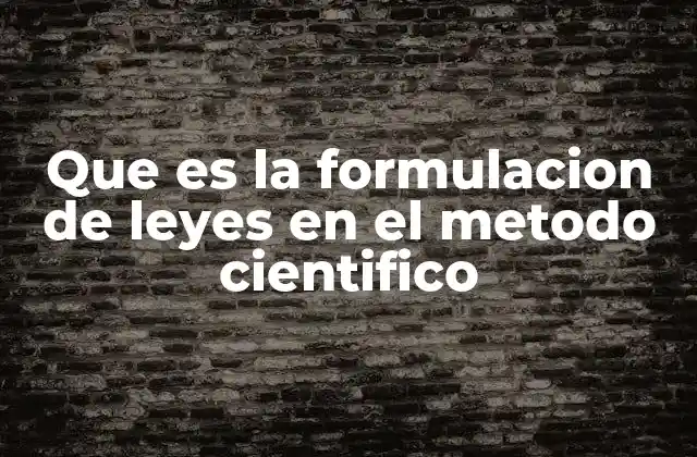 La transición de la observación a la generalización