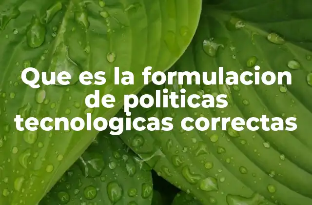 Que es la Formulacion de Politicas Tecnologicas Correctas 2 El rol de la tecnología en el desarrollo nacional