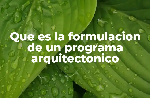 Que es la Formulacion de un Programa Arquitectonico