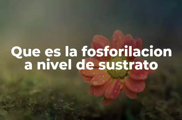 Que es la Fosforilacion a Nivel de Sustrato