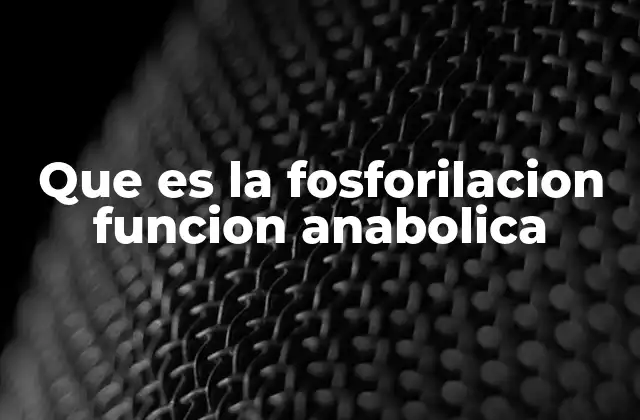 Que es la Fosforilacion Funcion Anabolica 2 El papel de la fosforilación en la síntesis de biomoléculas