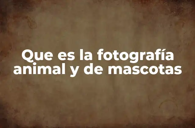 Que es la Fotografía Animal y de Mascotas