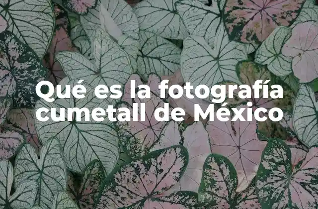 Qué es la Fotografía Cumetall de México