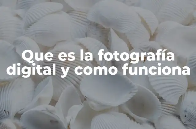 Que es la Fotografía Digital y como Funciona 2 Cómo funciona el proceso de captura de imágenes digitales